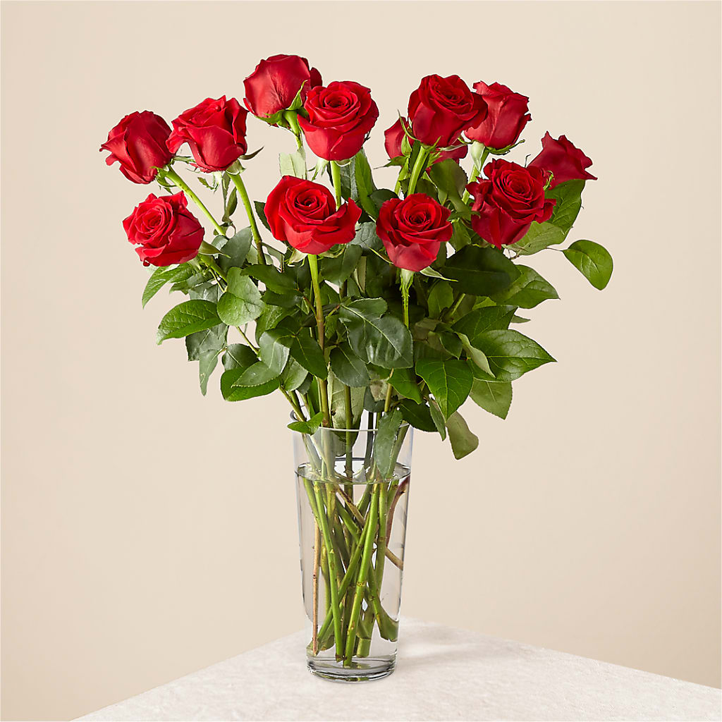 Long Stem Red Rose Bouquet – Floral Design At Evergreen Llc, Princeton NC