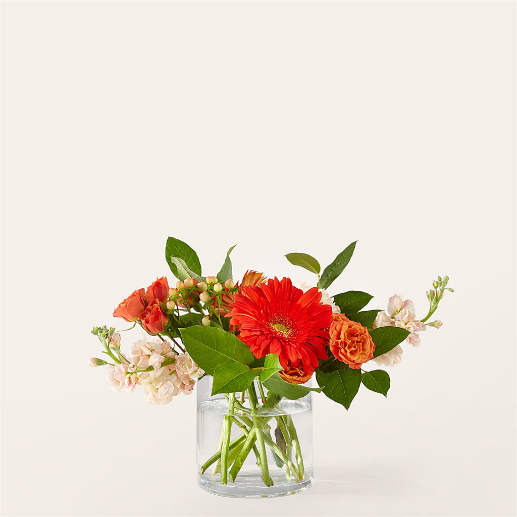 Paloma Please Bouquet – Floral Design At Evergreen Llc, Princeton NC