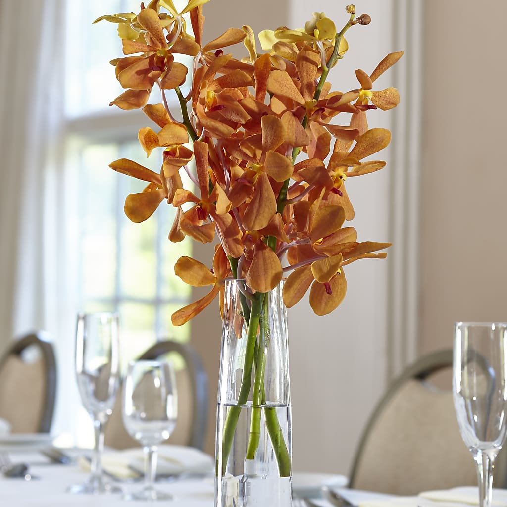 Orange Mokara Bud Vase – Floral Design At Evergreen Llc, Princeton NC
