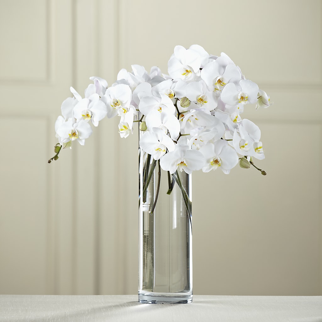 White Phalaenopsis Bouquet – Floral Design At Evergreen Llc, Princeton NC