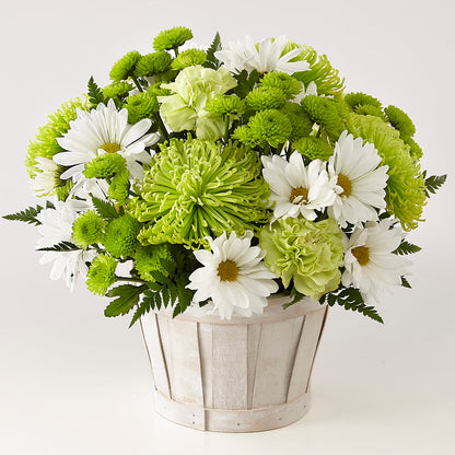 Lucky Charm Basket (Standard) –  Floral Design At Evergreen Llc, Princeton NC