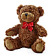 Adorable Plush Bear –  Floral Design At Evergreen Llc, Princeton NC
