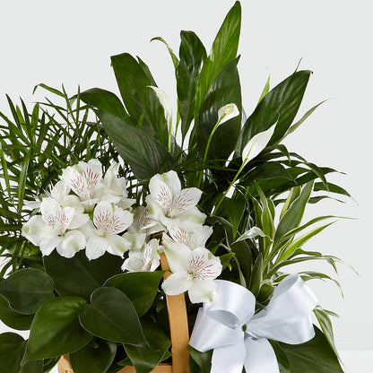 Peace & Serenity Dishgarden –  Floral Design At Evergreen Llc, Princeton NC