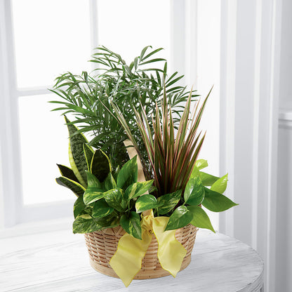 French Garden –  Floral Design At Evergreen Llc, Princeton NC