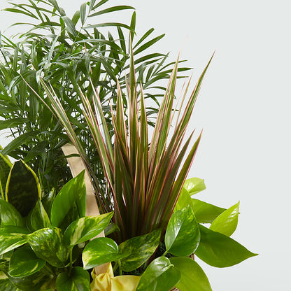French Garden –  Floral Design At Evergreen Llc, Princeton NC