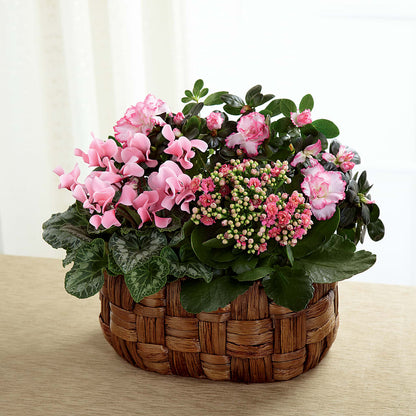 Pink Assortment –  Floral Design At Evergreen Llc, Princeton NC