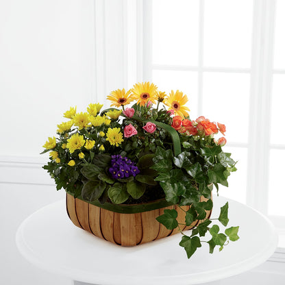 Gentle Blossoms Basket –  Floral Design At Evergreen Llc, Princeton NC