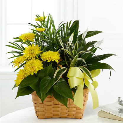 Loving Light Dishgarden –  Floral Design At Evergreen Llc, Princeton NC
