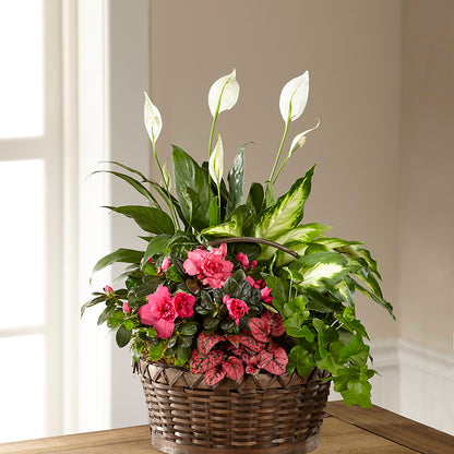 Dream in Pink Dishgarden –  Floral Design At Evergreen Llc, Princeton NC