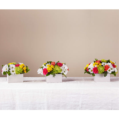 Sorbet Bouquet –  Floral Design At Evergreen Llc, Princeton NC