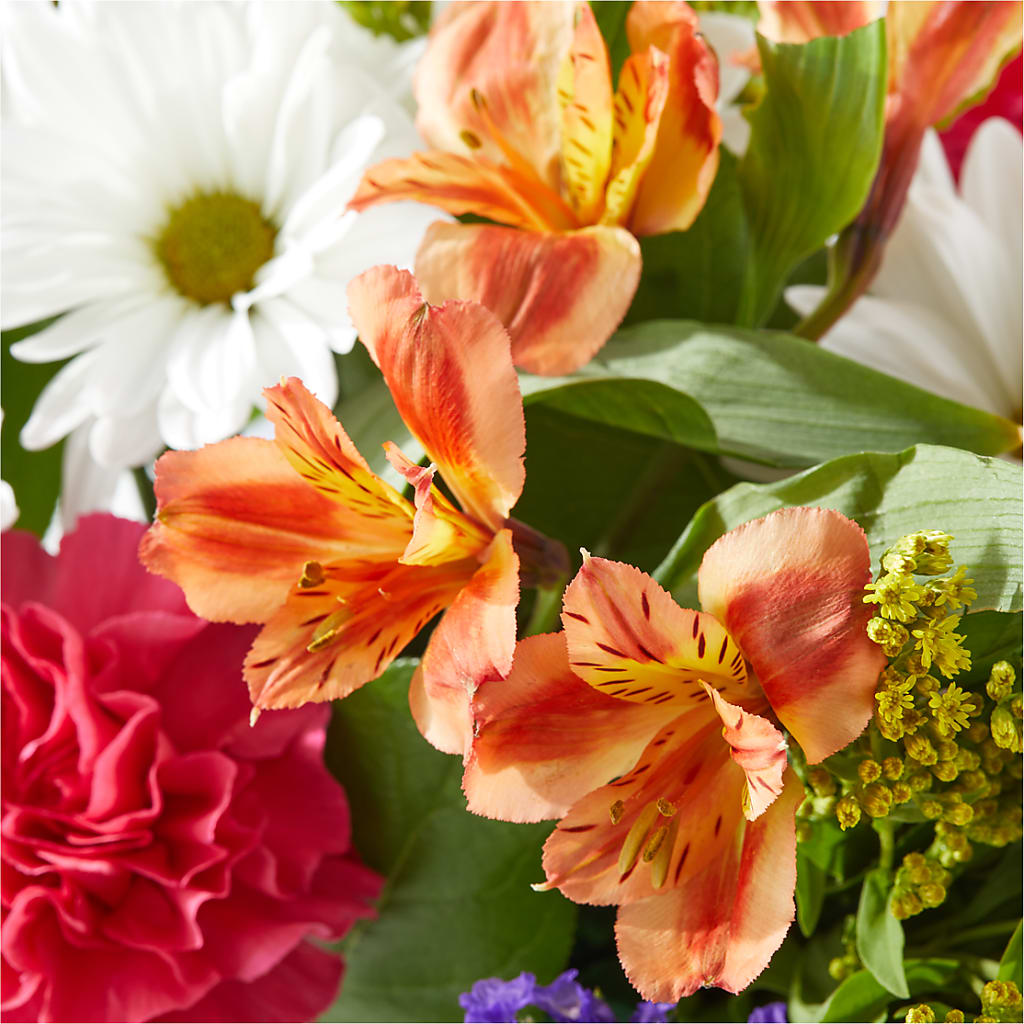 Oopsie Daisy Box Bouquet –  Floral Design At Evergreen Llc, Princeton NC