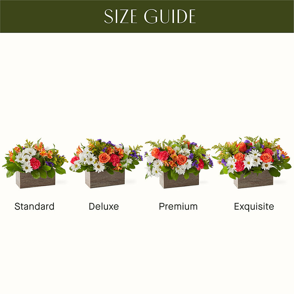 Oopsie Daisy Box Bouquet –  Floral Design At Evergreen Llc, Princeton NC