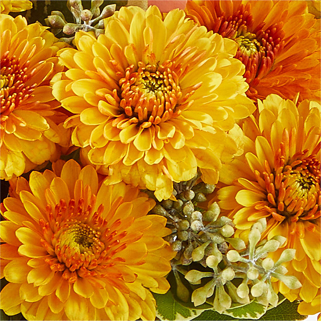 Peachy Pumpkin –  Floral Design At Evergreen Llc, Princeton NC