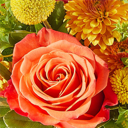 Gourdgeous Pumpkin –  Floral Design At Evergreen Llc, Princeton NC