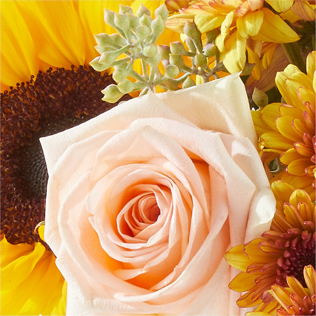 Pumpkin to Talk About Bouquet –  Floral Design At Evergreen Llc, Princeton NC