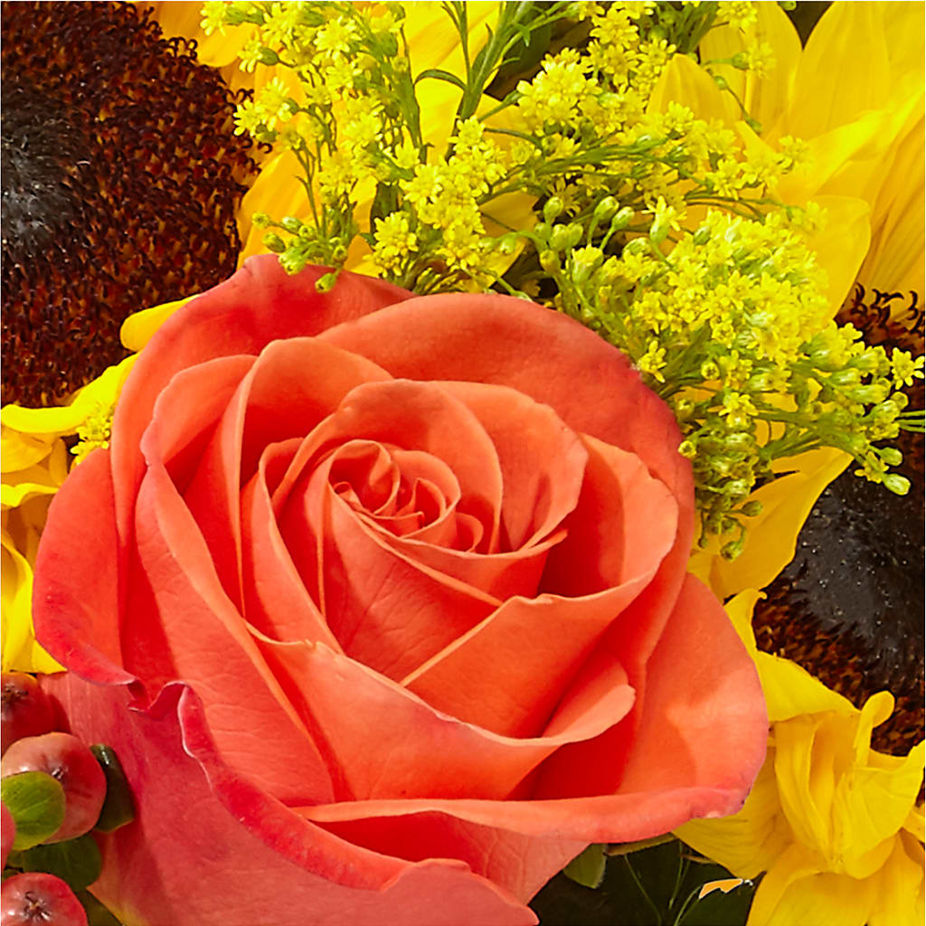 Pick of the Patch Pumpkin Bouquet –  Floral Design At Evergreen Llc, Princeton NC