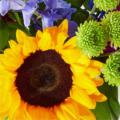 Catching Rays Bouquet –  Floral Design At Evergreen Llc, Princeton NC