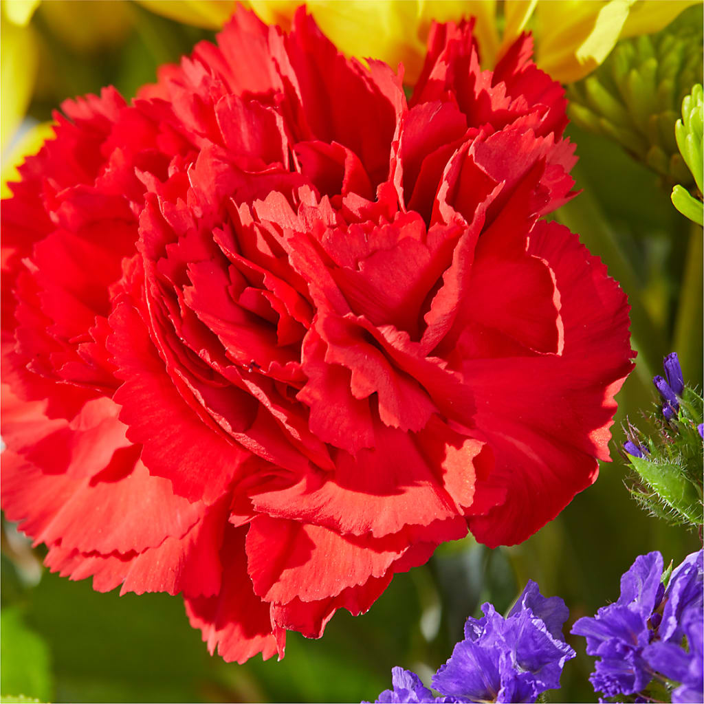 Brighter Days Bouquet –  Floral Design At Evergreen Llc, Princeton NC