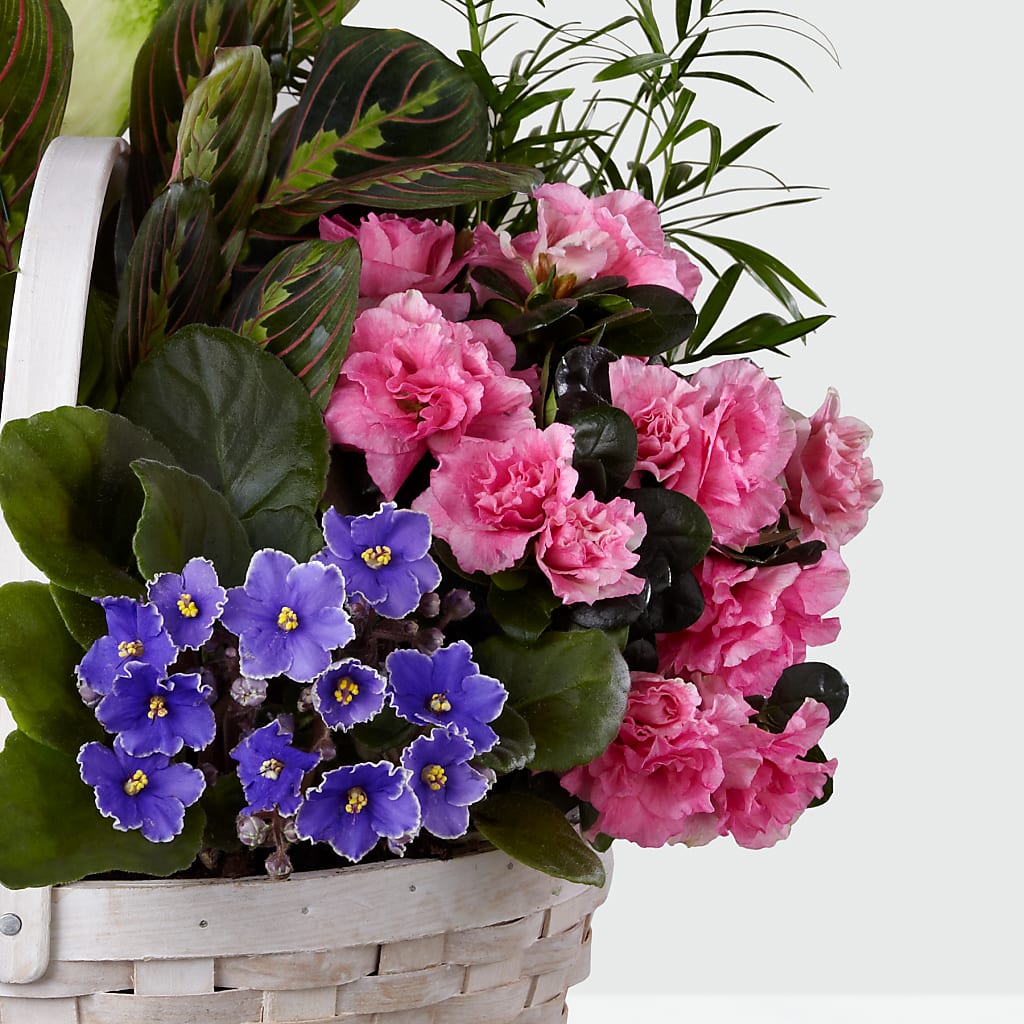 Peaceful Garden Planter –  Floral Design At Evergreen Llc, Princeton NC