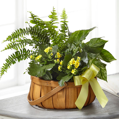 Always Dear Dishgarden –  Floral Design At Evergreen Llc, Princeton NC
