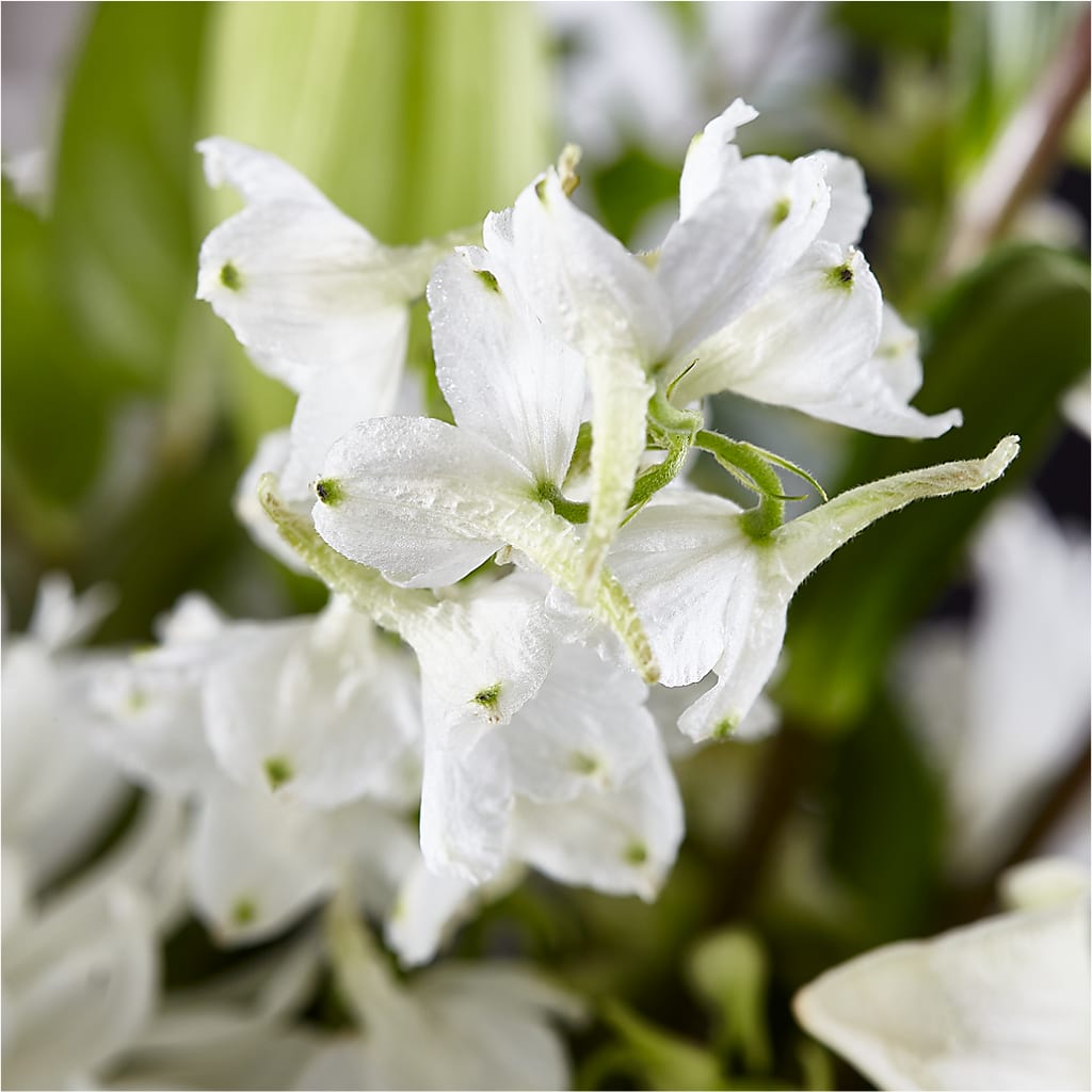 Classic Ivory – A Florist Original –  Floral Design At Evergreen Llc, Princeton NC
