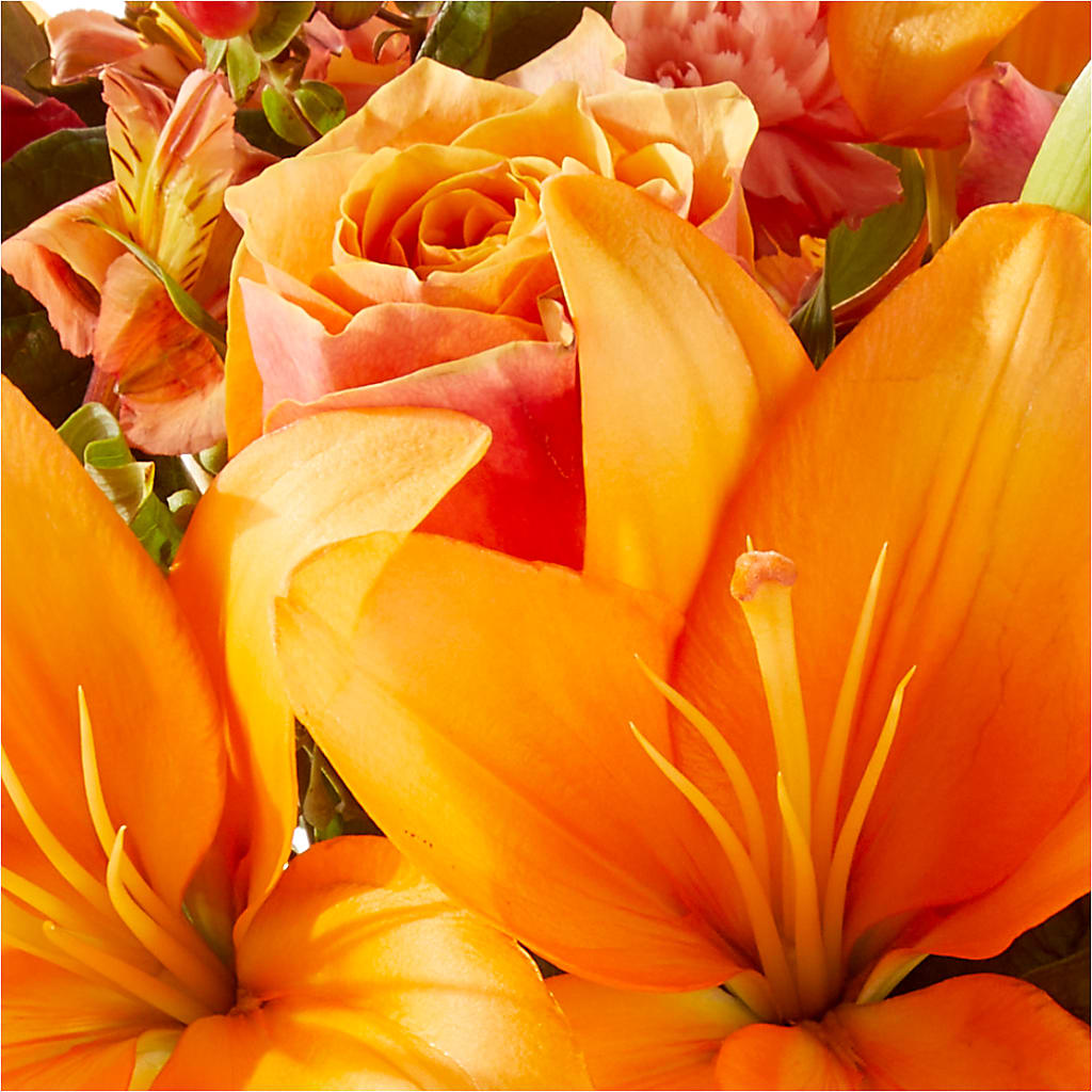 Afternoon Light Bouquet –  Floral Design At Evergreen Llc, Princeton NC