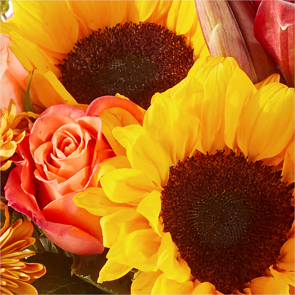Acorn Lane Bouquet –  Floral Design At Evergreen Llc, Princeton NC