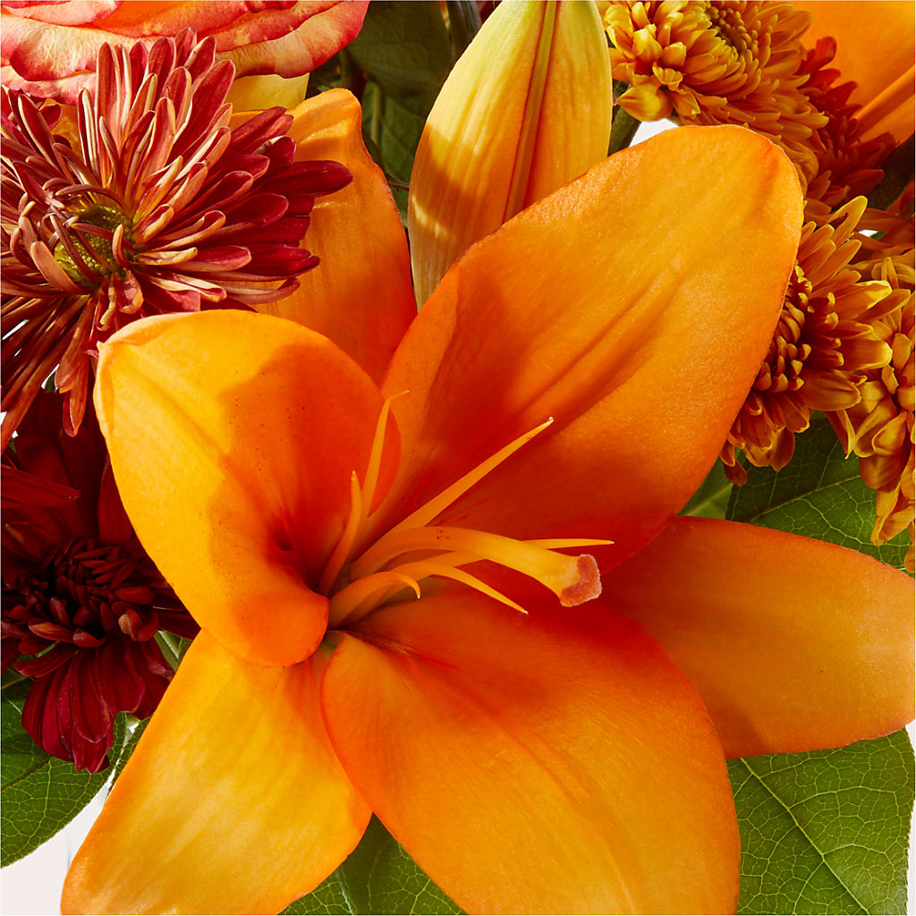 Autumnal Aroma Bouquet –  Floral Design At Evergreen Llc, Princeton NC
