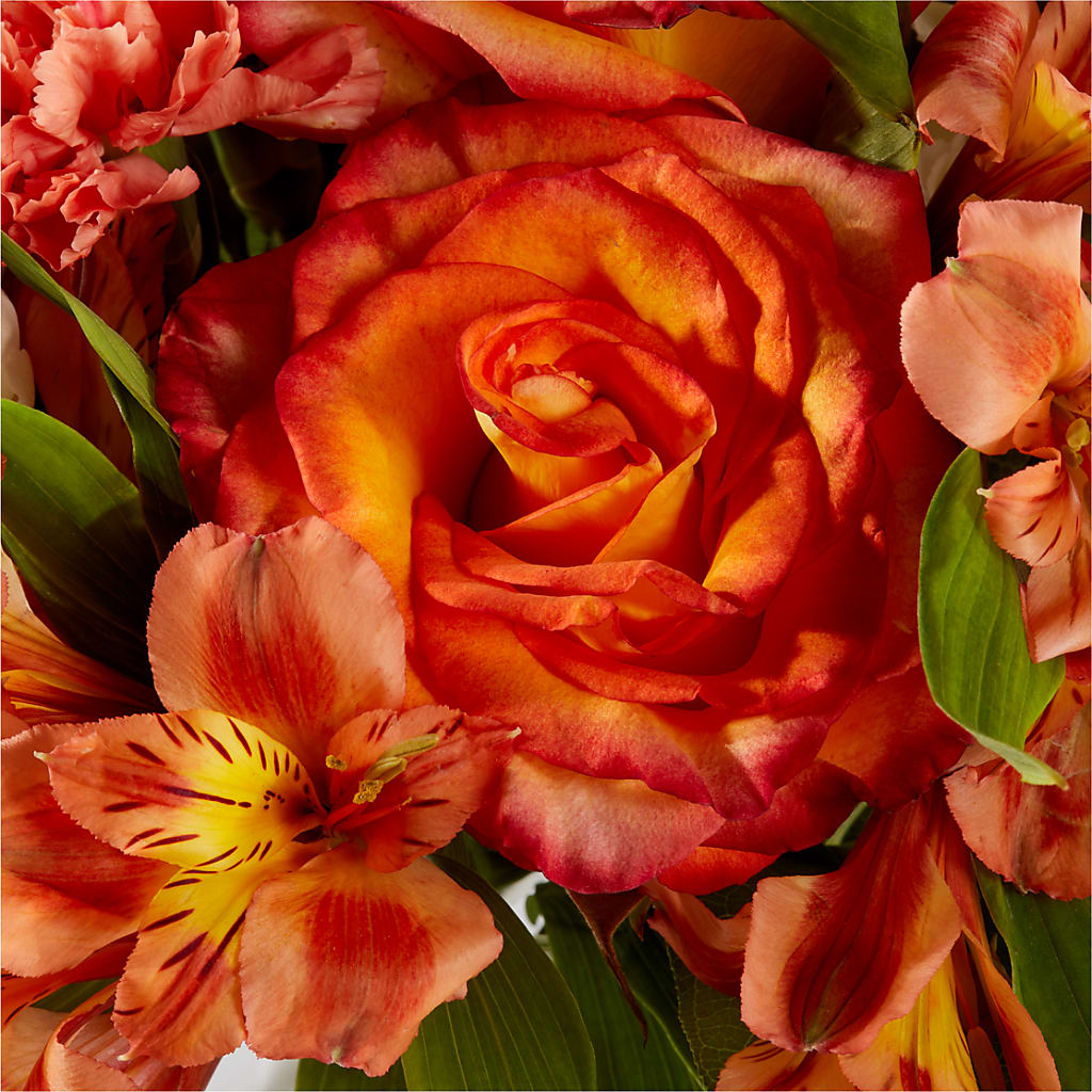 Apricot Glow Bouquet –  Floral Design At Evergreen Llc, Princeton NC