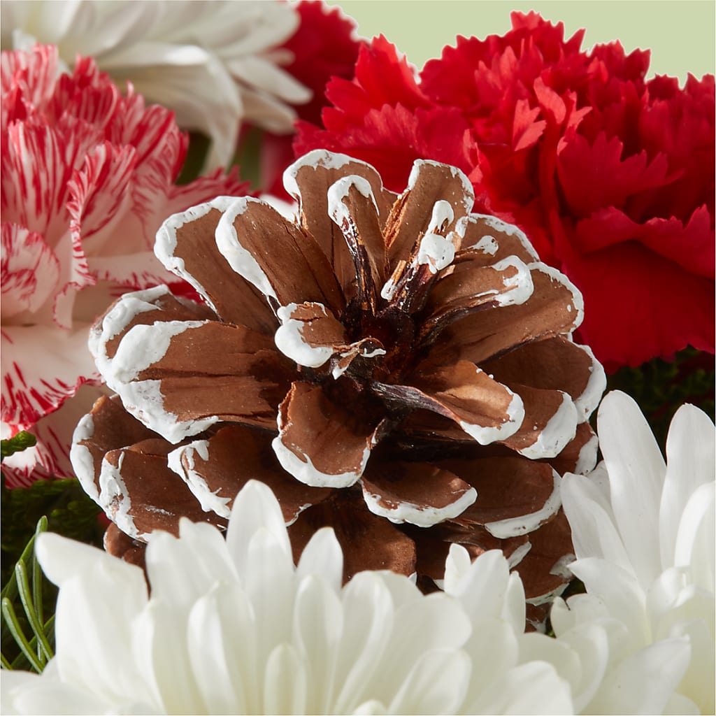 Candy Cane Lane Bouquet –  Floral Design At Evergreen Llc, Princeton NC