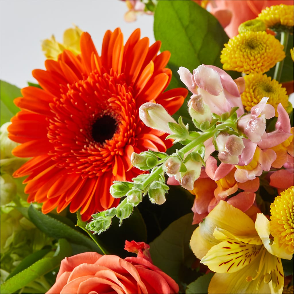 Autumn Sunshine Bouquet –  Floral Design At Evergreen Llc, Princeton NC