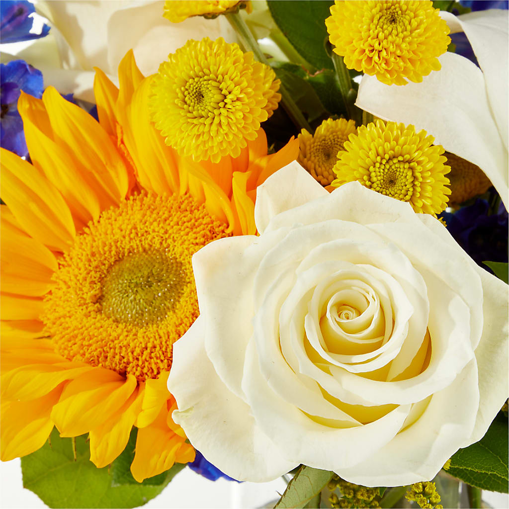 Stargazing Bouquet –  Floral Design At Evergreen Llc, Princeton NC
