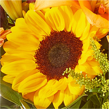Seasons Change Bouquet –  Floral Design At Evergreen Llc, Princeton NC