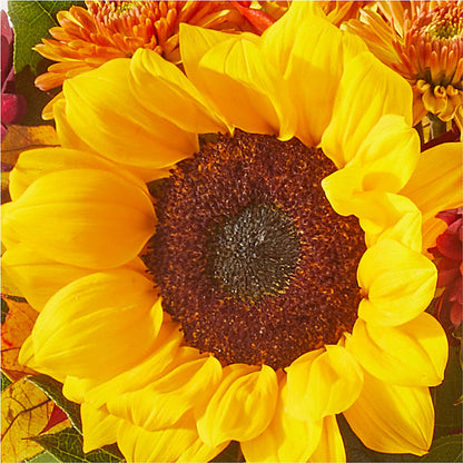 Sunny Side Bouquet –  Floral Design At Evergreen Llc, Princeton NC