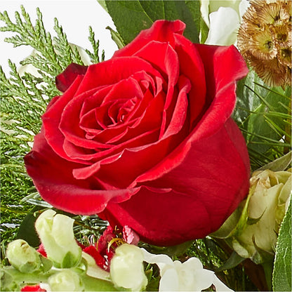 Deck the Halls Bouquet –  Floral Design At Evergreen Llc, Princeton NC