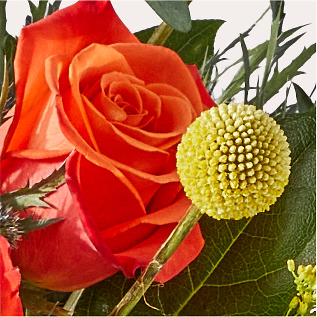 Disco Bouquet –  Floral Design At Evergreen Llc, Princeton NC