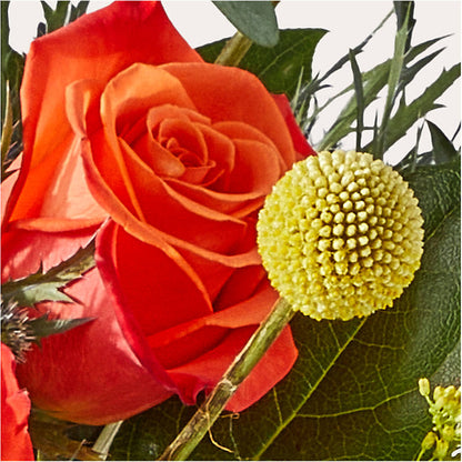 Disco Bouquet –  Floral Design At Evergreen Llc, Princeton NC