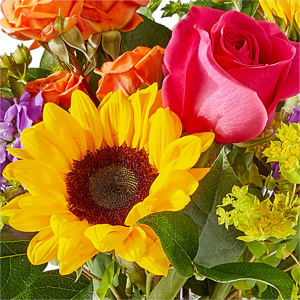 Vibrant Greetings Bouquet –  Floral Design At Evergreen Llc, Princeton NC