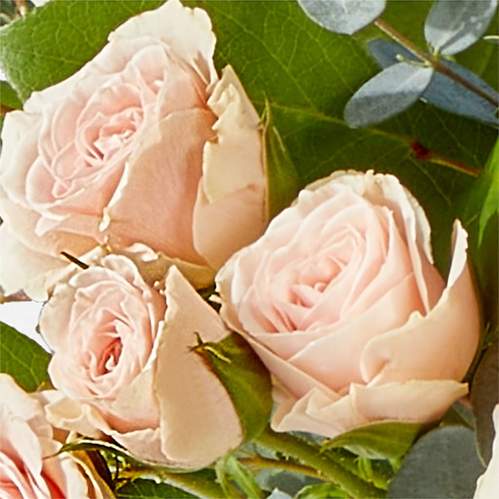 Inspired Bouquet –  Floral Design At Evergreen Llc, Princeton NC