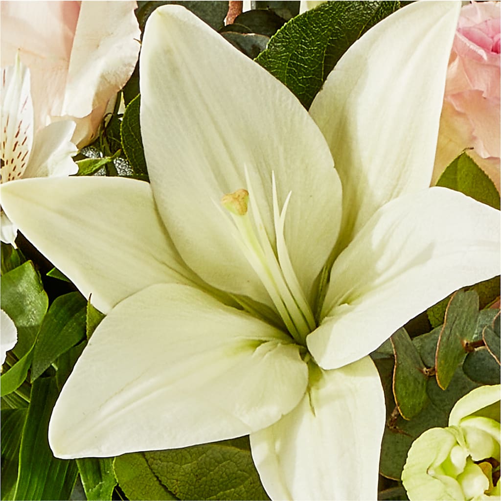 Ballet Slippers Bouquet –  Floral Design At Evergreen Llc, Princeton NC
