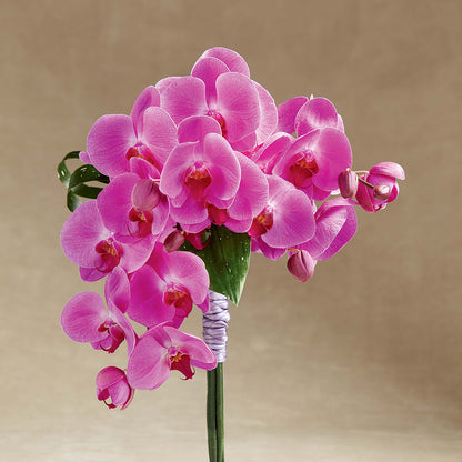 Glorious Bouquet –  Floral Design At Evergreen Llc, Princeton NC