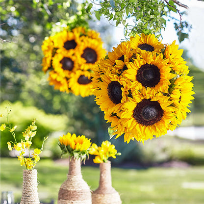 Sublime Garden Hanging Arrangement –  Floral Design At Evergreen Llc, Princeton NC