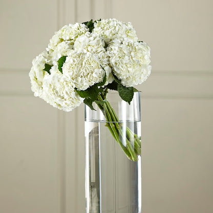 White Hydrangea Hand-Tied Bouquet –  Floral Design At Evergreen Llc, Princeton NC