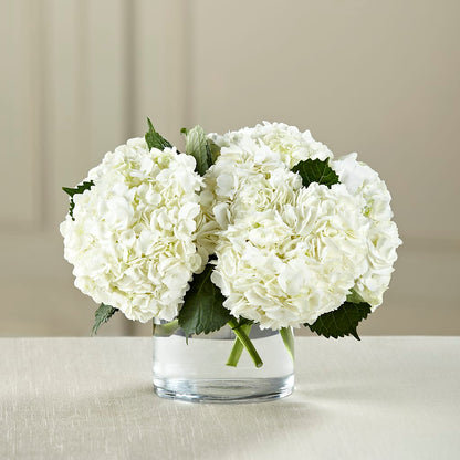White Hydrangea Bouquet –  Floral Design At Evergreen Llc, Princeton NC